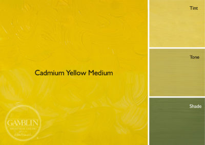 Cadmium Yellow Medium