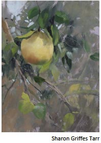 Sharon Griffes Tarr Chromatic Black