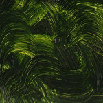 Sap-Green