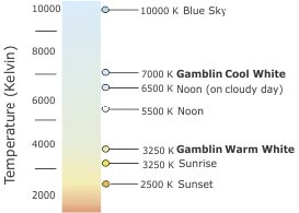 Warm and Cool White in temperature Kelvin